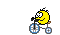 coichungcucda coichungcucda
